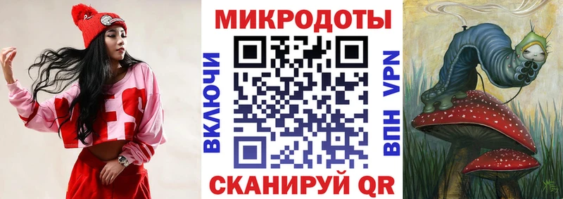Галлюциногенные грибы Psilocybe  Чернушка 